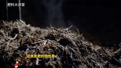 氮肥的分类及合理施用原则