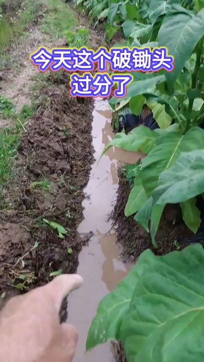 差点和我的脚丫说拜拜