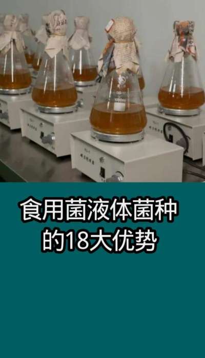 食用菌      食用菌液体菌种的18大优势