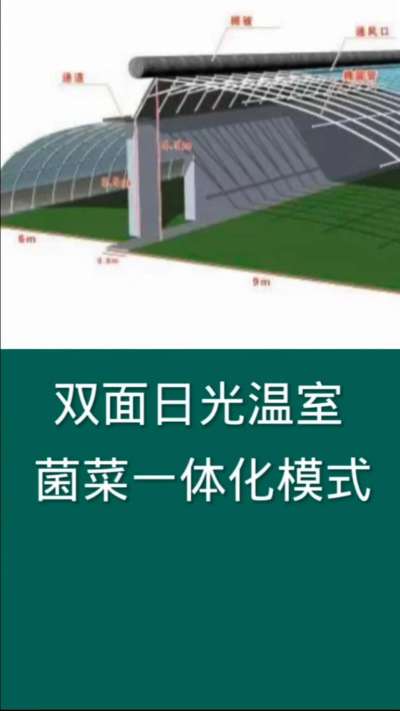 双面日光温室菌菜一体化模式，为现代农业利用设施的一种高效种植模式。食用菌排出二氧化碳为蔬菜生长所需提供气体，蔬菜排出氧气正好为食用菌提供生长所需的氧气，彼此促进生长，是现代农业发展的一种有效途径。