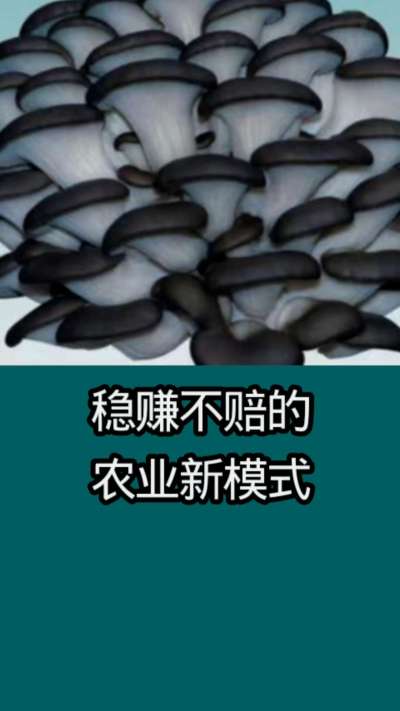 稳赚不赔的农业新模式