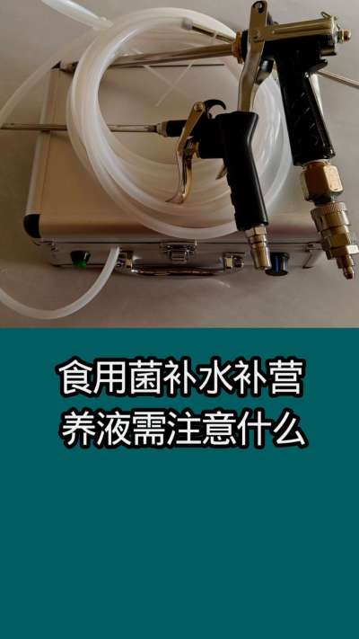 食用菌补营养液需要注意什么