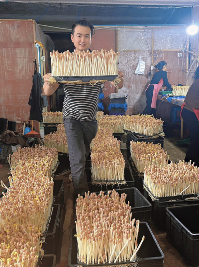 每天10分钟，跟着学种芽苗菜&mdash;&mdash;新手也能轻松上手的家常种植课 