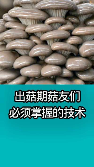 �����ڹ����Ǳ������յ�����