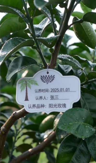 果园生意难？
客户少、预售难、溯源弱、复购低？
用 SaaS 认养平台，一键解决：
✅ 认养挂牌，让客户为 &ldquo;自己的树&rdquo; 买单，提前锁定全年收益
✅ 可视化监控，手机端实时看生长，客户信任度翻倍
✅ 
