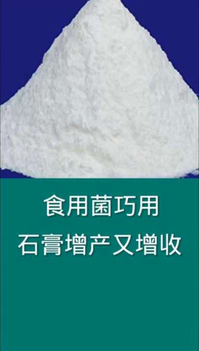 食用菌巧用石膏增产又增收