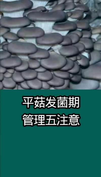 ƽ�������ڹ�����ע��