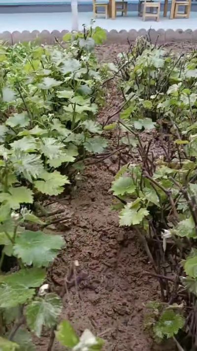 ���۾޷���������2000�����ͼ۴��óͷ�����Ҫ��ϵ18534302961