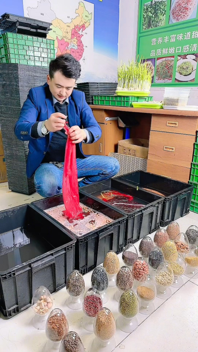 种花生芽不难，0基础也能学会，就按这几步来新花生泡6-8小时，夏天短点冬天长点，泡到皮软就捞出来
沥干水铺盒子里，盖块湿纱布，放暖和地儿捂着，每天喷两回水&rdquo;
露白了就移网格上，根往下泡点水，芽别沾着，