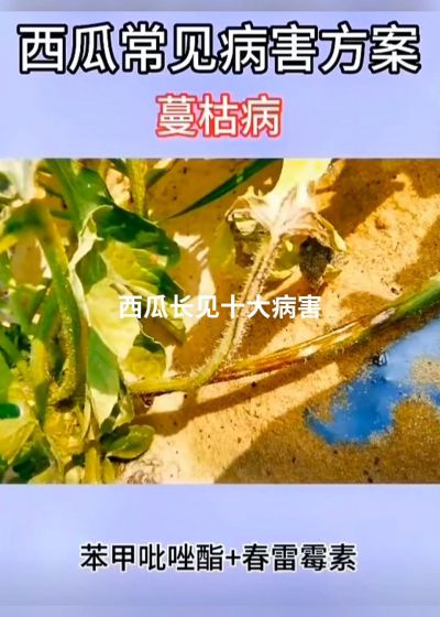 Ag���޼���(�й���)�ٷ���վ