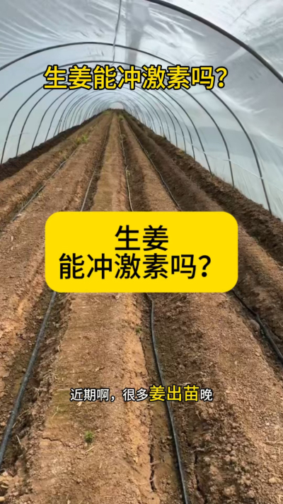 �����ܳ弤������