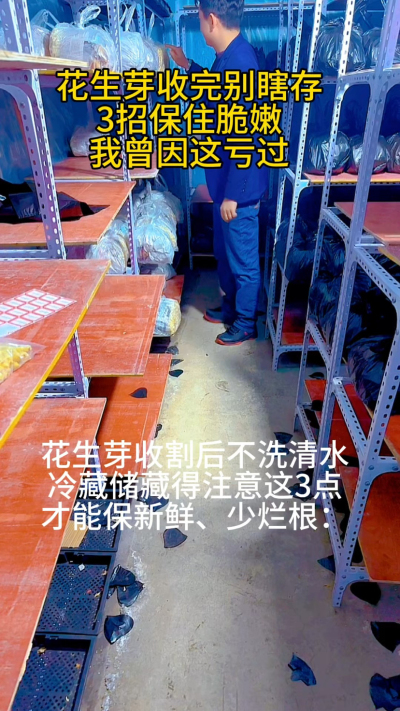 前阵子有回收了一大盘花生芽，想着第二天给老客户送，没当回事就直接塞进冰箱密封盒里了。结果第二天一打开，底部的芽子全黏糊糊的，根都发黑了，心疼得我直拍大腿&mdash;&mdash;那可是熬了好几天才种出来的，就因为存错了，全