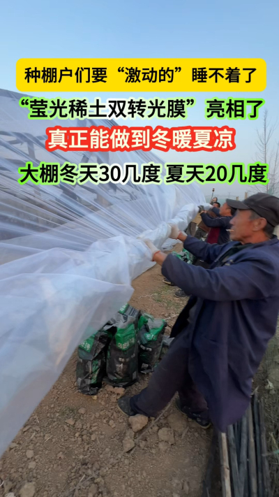 今年转光膜一定要用上