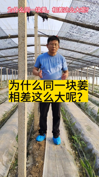 ͳһ�齪��Ϊʲô����ô������ 