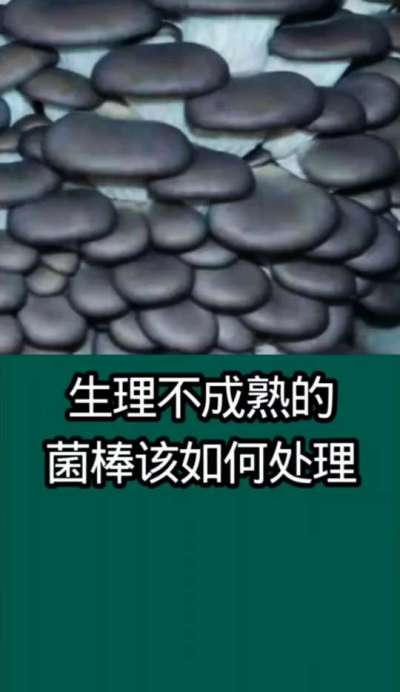 生理不成熟的菌棒该如何处理