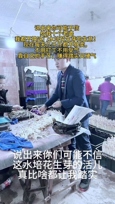 &ldquo;谁懂啊？这水培花生芽的营生，真让我把日子过出了劲儿&mdash;&mdash;
不用打工受气，不用背井离乡，每天在棚里看看芽子长势，打包发货，几千斤都不够抢。累是累点，但手里的钱赚得明明白白，心里踏实得很。

有人说&lsquo;做生