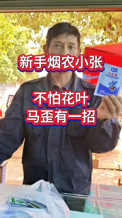 花叶马歪不用愁，遇到这类问题，选马歪清更靠谱