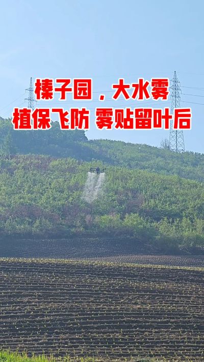 榛子园病虫害防治飞机植保飞防