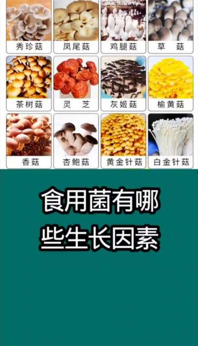 食用菌有哪些生长因素