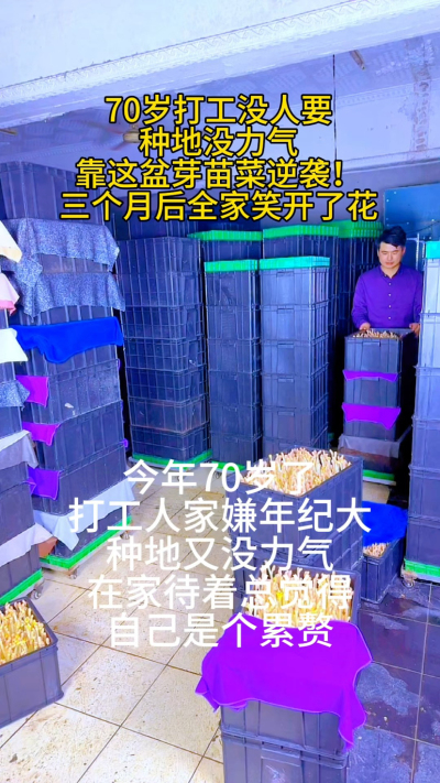 70岁创业能有多香？
&bull; 打工没人要，种地没力气，靠这盆芽苗菜逆袭

&bull; 三个月收入超儿子工资，全家从反对到支持

&bull; 不生病、不防疫、没异味，四季都能种

有人说&lsquo;年纪大了就该享福&rsquo;，可我觉得：
能