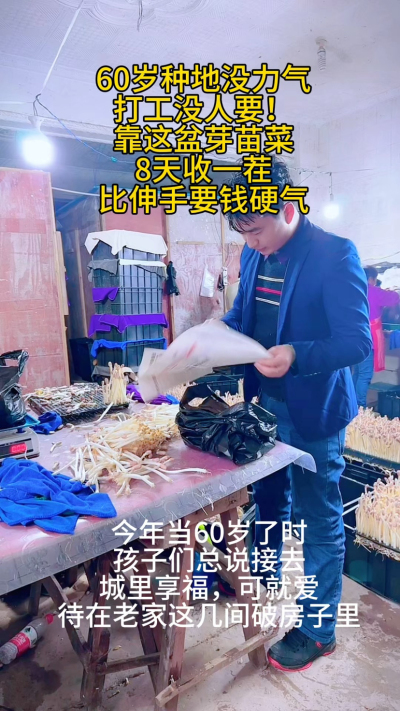60岁的农村老人，不靠儿女靠双手：
&bull; 几间老房改芽苗棚，8天收一茬

&bull; 每天就管两次水，比种地轻松十倍

&bull; 赚的钱够花，还能帮衬孙子孙女

有人说&lsquo;年纪大了就该闲着&rsquo;，可我觉得：
能自食其力，能