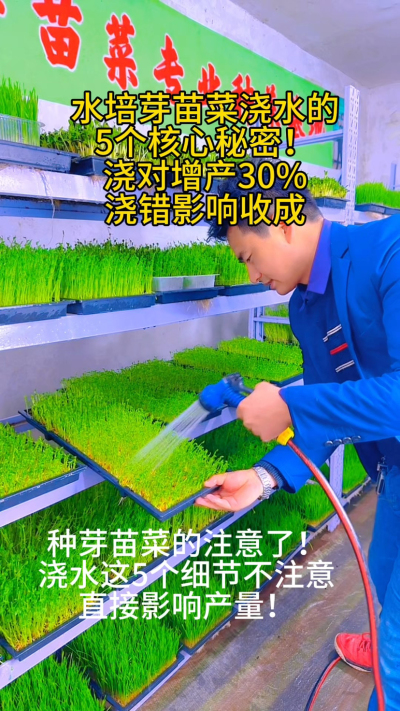 水培芽苗菜浇水的5大误区，你中招了吗？
⚠️ 直接用自来水
⚠️ 水温过冷过热
⚠️ 浇水次数太少
⚠️ 大水冲淋
⚠️ 湿度不达标
我把这些问题整理成《芽苗菜浇水指南》，评论区浇水给[666]
你浇