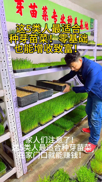 &ldquo;这5类人最适合种芽苗菜，在家门口就能增收！
✅ 时间灵活：宝妈、退休老人
✅ 低成本创业：返乡青年、上班族
✅ 家门口就业：农村留守人员

我根据100+学员案例，整理出《芽苗菜新手入门手册》，点击