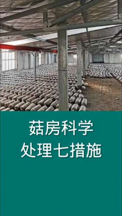菇房科学处理七措施
