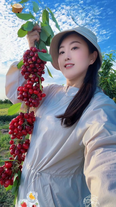 樱桃红了