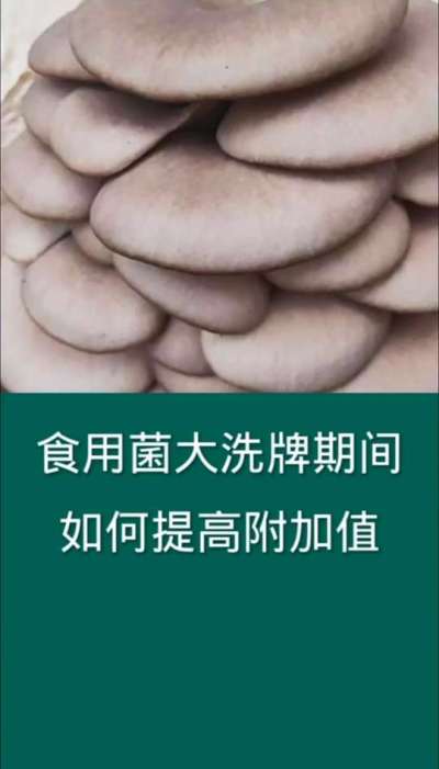 食用菌大洗牌如何提供附加值