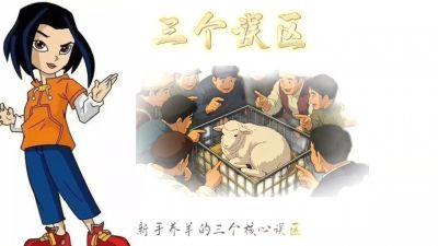 对于新手养殖三大误区的讲解，以及贴合实地的价格计算，从而使新人养殖来判断自己走哪个方向