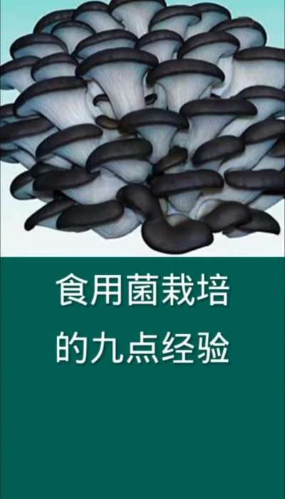 食用菌栽培九点经验