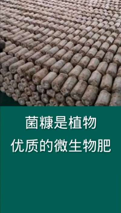 菌糠是植物优质的微生物菌肥