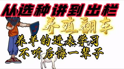 养羊保姆级教学第二集（母本挑选标准）