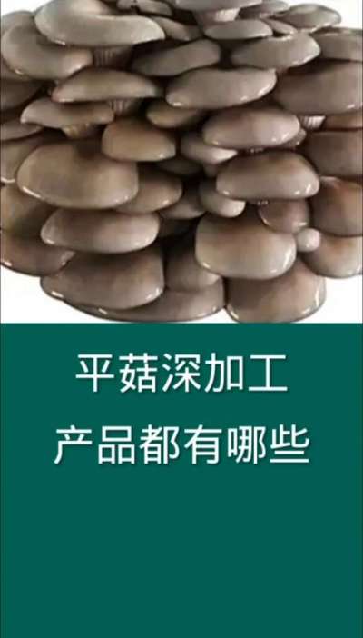 平菇深加工产品有哪些