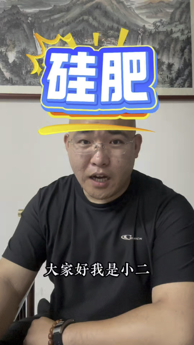 硅肥，作物的&ldquo;防护盾&rdquo;