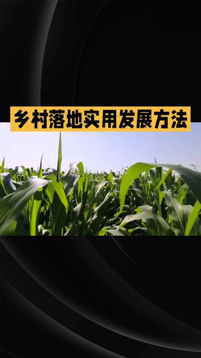 �ŵ�88��(�й���)�ٷ���վ