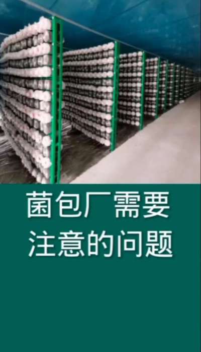 菌包厂需要注意的问题