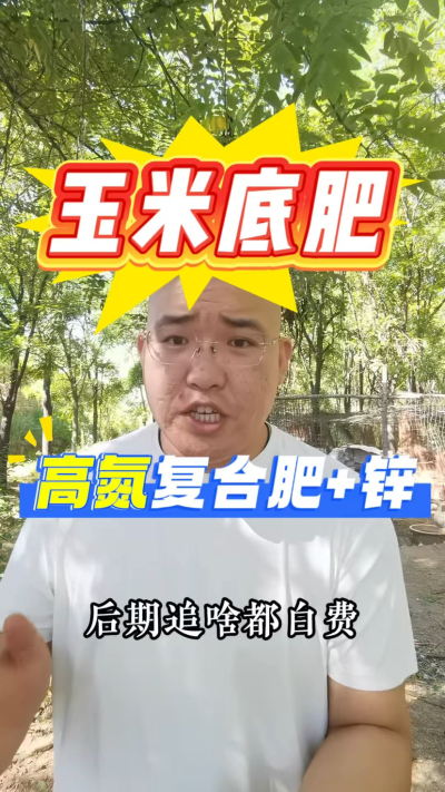 玉米底肥，高氮复合肥➕锌