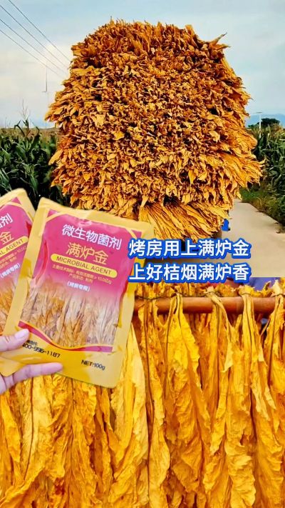 烤房用上满炉金，上好桔烟满炉香