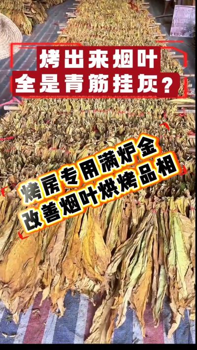 ���̺濾���������һ�������ר����¯���������Ż���Ҷ��ɫ��