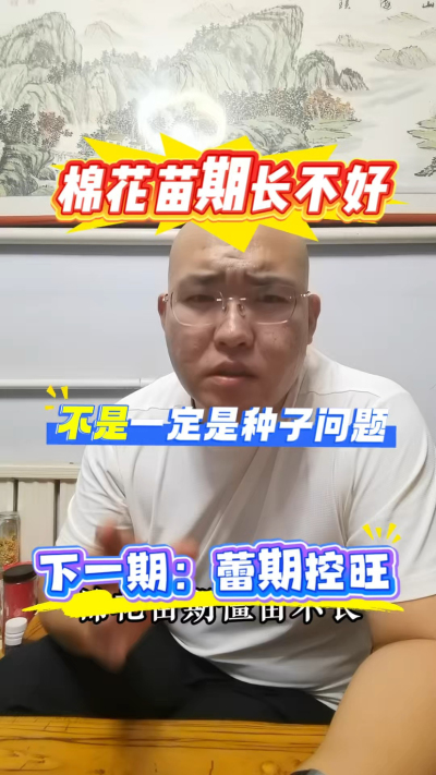 棉花苗期长不好，不一定是种子的问题
