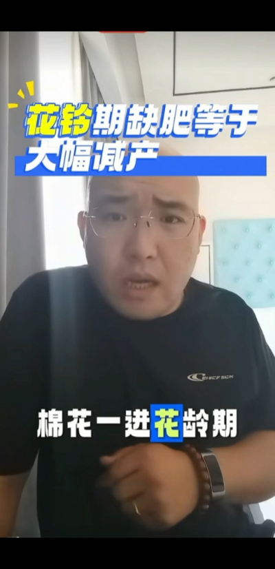 棉花一进花铃期，缺钾缺硼