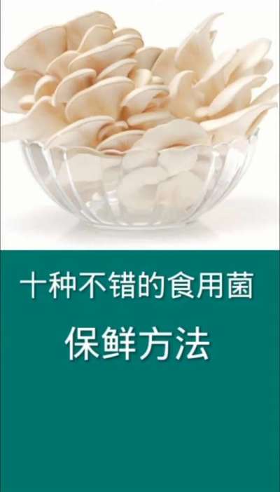十种不错的食用菌保鲜方法