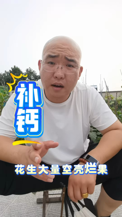 花生大量空壳，补钙是关键