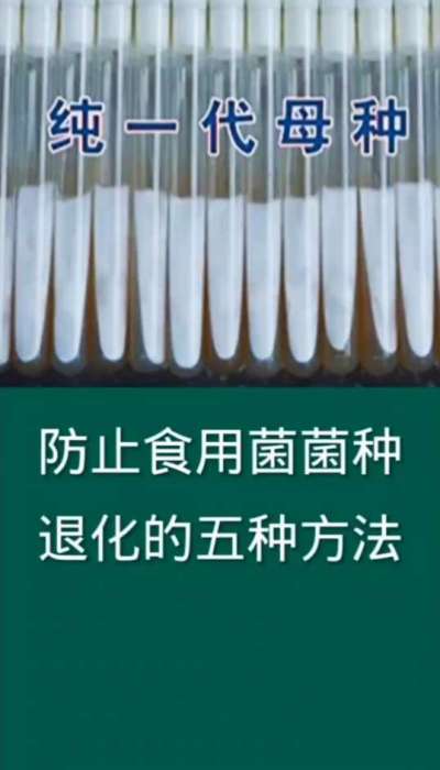 防止食用菌菌种退化的五种方法
