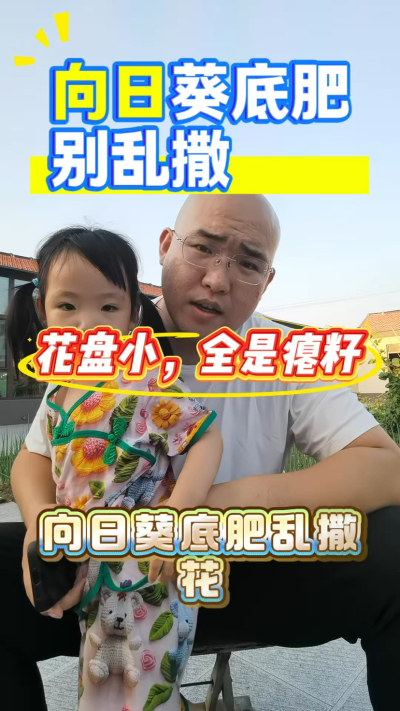 向日葵底肥别乱撒