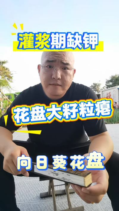 向日葵灌浆期缺钾