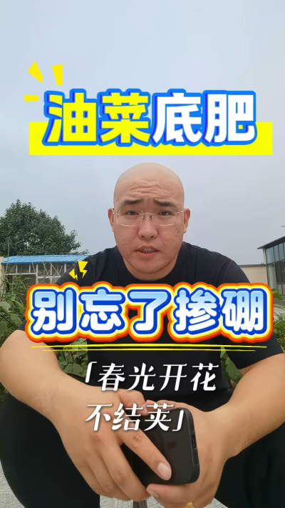 油菜底肥硼不能忘