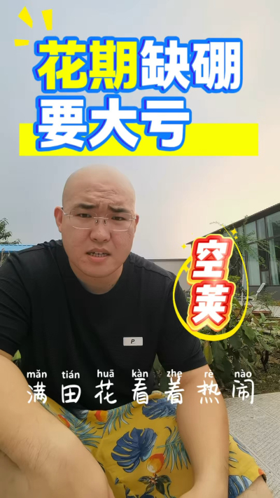 油菜花期缺硼